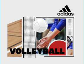 VOLLEYBALL_SUBCATALOGCOVER_TILE